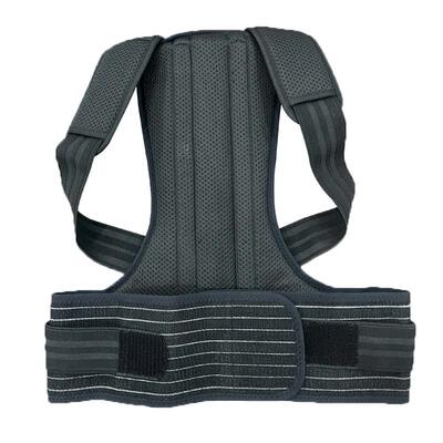 panapopo背部矫姿带加强款黑色1个/件