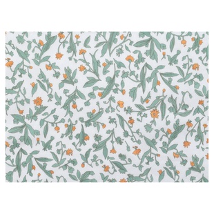 日本进口hokkoh60支纯棉面料手工柔软舒适衬衫连衣裙服装布河边花