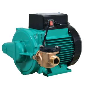 德国威乐太阳能热水器增压泵家用全屋自来水PB-H170EAH全自动水泵