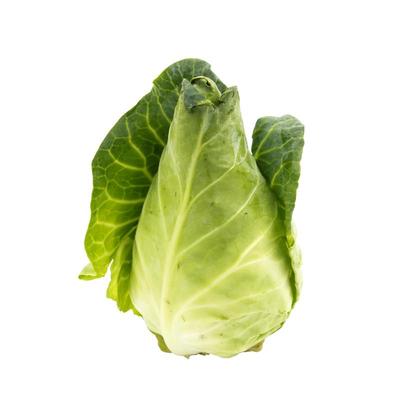 甜心甘蓝新鲜蔬菜牛心甘蓝