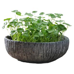 花卉水仙碗莲创意盆栽睡莲室内多肉植物陶瓷仿石头铜钱草水泥花盆