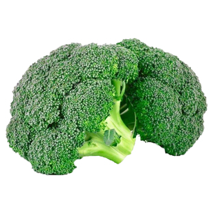 西兰花种子曼陀绿青花菜蔬菜苗冬季菜花四季优秀西蓝花种籽孑秧苗