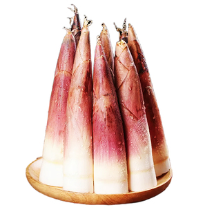 浙江临安春雷笋5斤新鲜现挖竹笋嫩芽笋油焖笋鲜笋冬笋酱笋毛竹笋