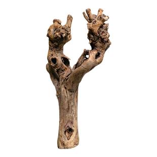 掬涵天然树根摆件微景观鱼缸造景插花禅意枯木根雕艺术品装饰摆设