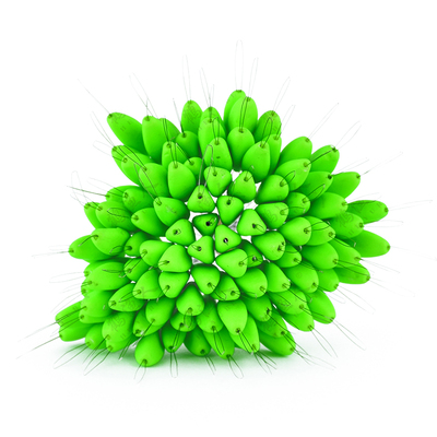 鹤渔人三角形七星漂大漂豆