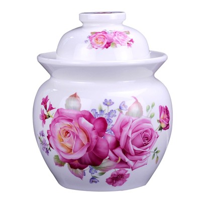 景德镇陶瓷泡菜坛子家用加厚