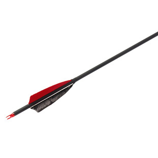 真羽箭混碳箭羽毛碳素箭靶箭头射箭靶子美猎传统弓箭比赛射击箭支