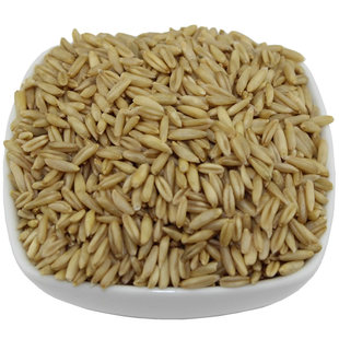 武川胚芽裸燕麦米农家原始种植营养杂粮内蒙古特产莜麦米500g散装