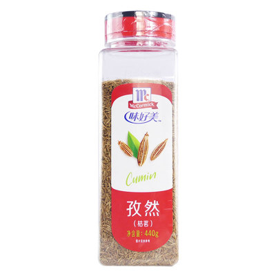 440g茴香籽新疆烤翅撒料