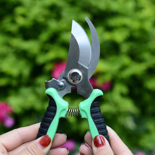 园艺剪刀修枝剪不锈钢粗枝家用进口sk5大力剪刀园艺剪枝剪刀工具