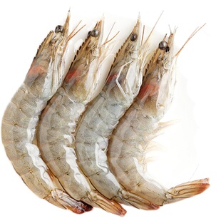新鲜海捕大虾鲜活速冻超大海虾整箱基围虾大青虾国产白对虾连云港