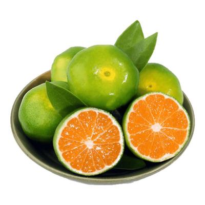 【顺丰包邮】赣南无籽寻乌蜜桔