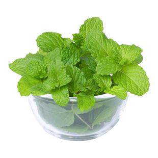 新鲜薄荷叶食用西餐烘焙调酒茶饮品装饰点缀用莫吉托香料500g