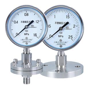 304不锈钢隔膜压力表YNTP100BFML/MF气压油压水压表耐震防腐耐酸