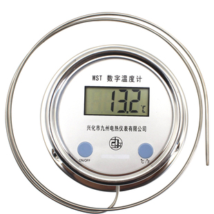 油温熬糖数显温度计 烤鸭烤炉防水糖葫芦测温表 熬膏药煲汤温度表