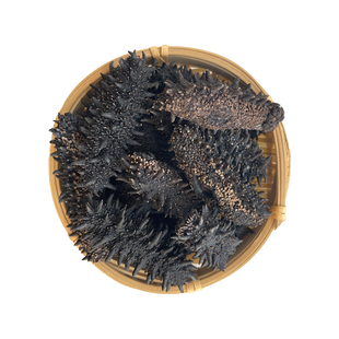 俄罗斯海参淡干海参干货野生500g30头鲜活刺参海生非即食海参礼盒