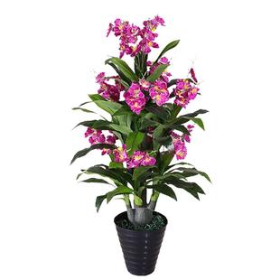 假树蝴蝶兰花鸿运当头仿真植物落地盆栽大型客厅盆景假花树塑料花