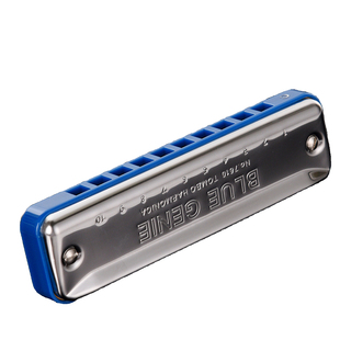 通宝新款7610初学者高级入门爱尔兰paddy音阶10孔口琴专业演奏级