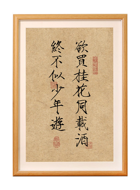 终不似少年游书法立体框装饰