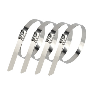 扎带不锈钢304 自锁卡扣4.6*200/300金属扎线盘带抱箍拉紧器100条