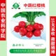 [Китайская академия сельскохозяйственных наук селекции] Чжуншу семена красной вишни, редиса, 10 г, оригинал