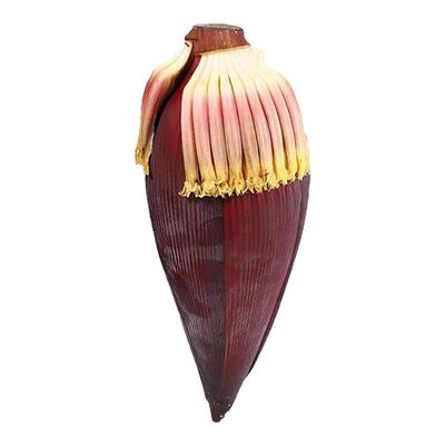 中药芭蕉花蕾新鲜煲汤炖猪心