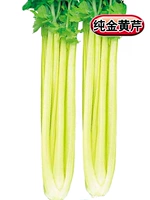 Золотые семена сельдерея 10 г оригинал