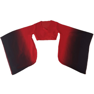 汉唐舞蹈练功服纱衣广袖上衣女汉服大袖衫古典舞惊鸿舞蹈服演出服