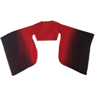 汉唐舞蹈服纱衣广袖上衣女古典舞