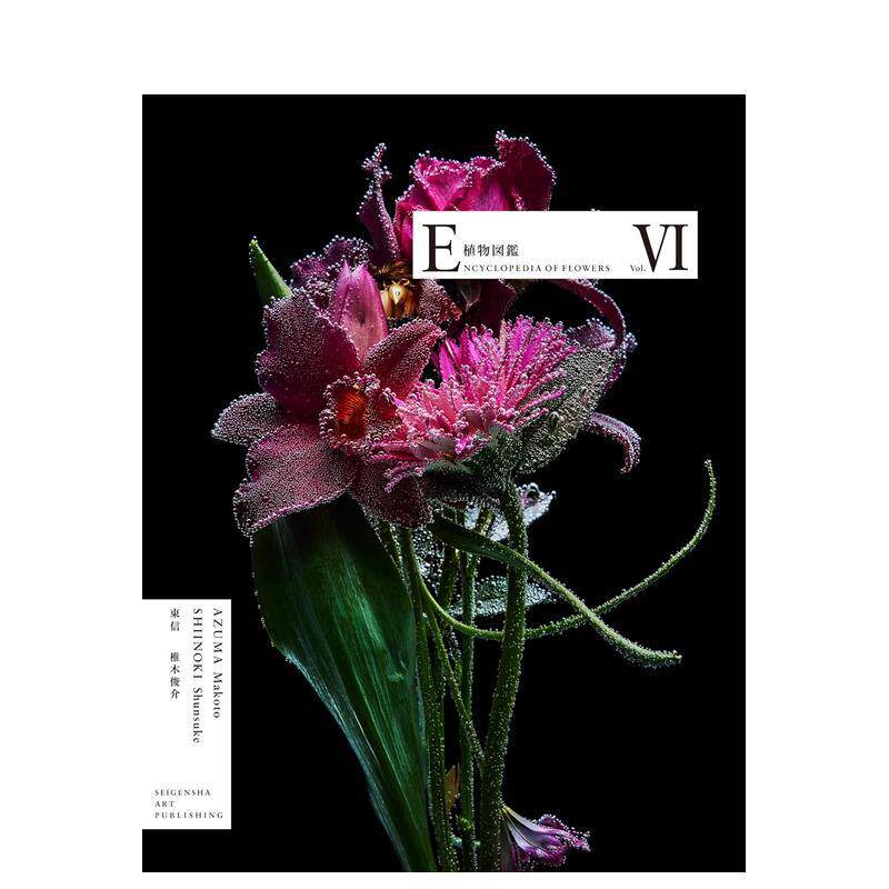 植物图鉴6/5日本花艺师东信和摄影师椎木俊介作品 ENCYCLOPEDIA OF FLOWERS Ⅵ 植物図鑑 日文植物摄影集原版花卉百科全书