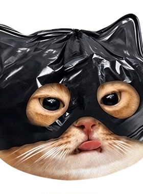 2026新款猫咪亚克力磁吸冰箱贴