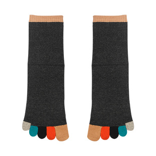 冬季加厚纯棉毛圈五指袜男 全棉中筒保暖毛巾袜防臭吸汗分趾袜5双