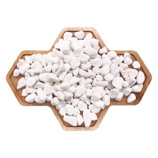 小白石子鹅卵石原石天然多肉铺面石园艺庭院铺路造景花盆白色石头