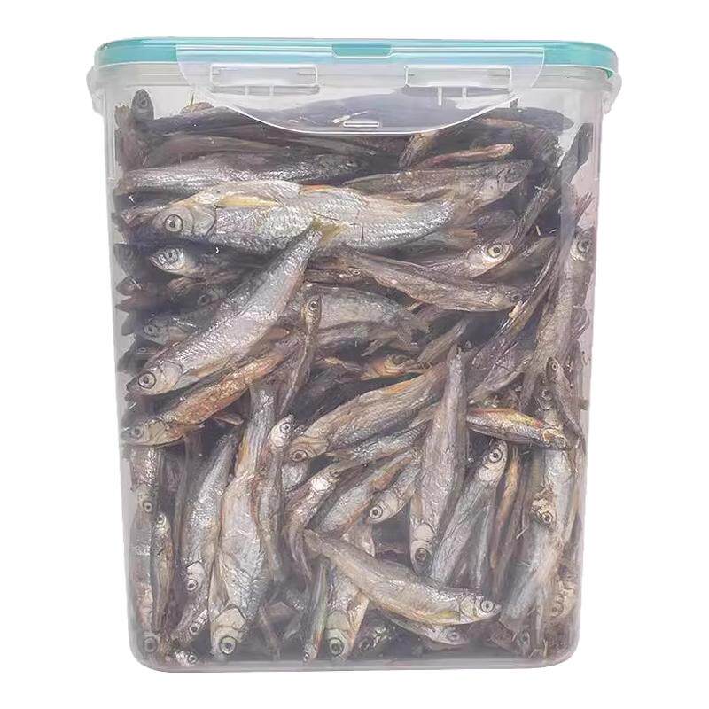 猫零食小鱼干500g淡水猫咪吃的鱼条幼猫补钙磨牙营养猫粮超大桶装