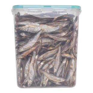 猫零食小鱼干500g淡水猫咪吃的鱼条幼猫补钙磨牙营养猫粮超大桶装