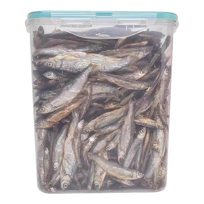 猫零食小鱼干500g淡水猫咪吃的鱼条幼猫补钙磨牙营养猫粮超大桶装