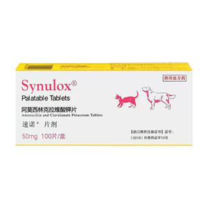 速诺消炎片猫狗阿莫西林克拉维酸钾猫咪消炎药速诺猫咪感冒药鼻支