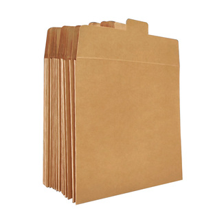 三益案件音像资料袋电子证据袋空白录音录像光盘牛皮纸袋光碟档案袋法院派出所dvd储存录像牛皮纸光盘袋定制