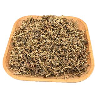 广西野生鹅不食草中药材鹅不吃草可打粉新鲜干食胡荽野园荽鸡肠草