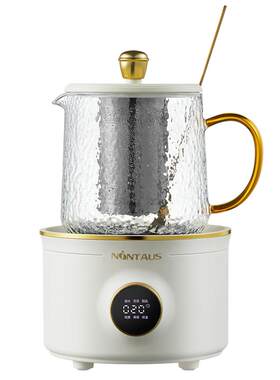 金正养生杯养生壶迷你小型电炖杯
