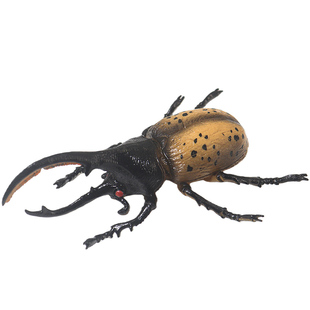 仿真长剑大兜虫模型儿童玩具知了蟋蟀蜉蝣昆虫蝼蛄科教育甲虫标本