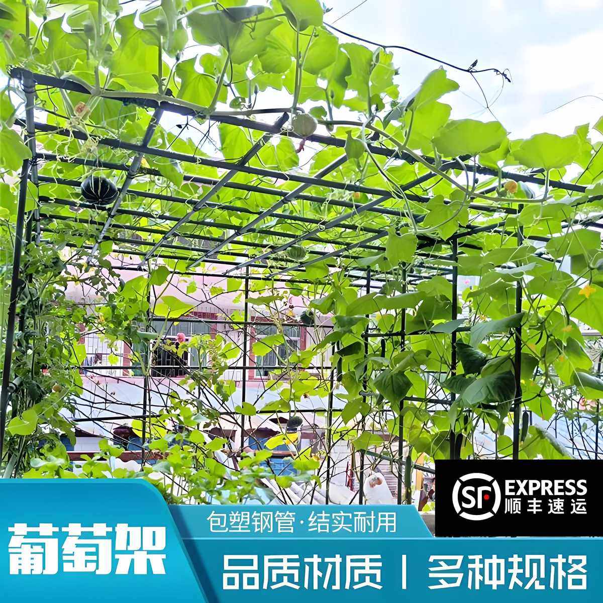葡萄架子庭院户外爬藤架葫芦架丝瓜百香果架种菜植物瓜棚架支撑杆