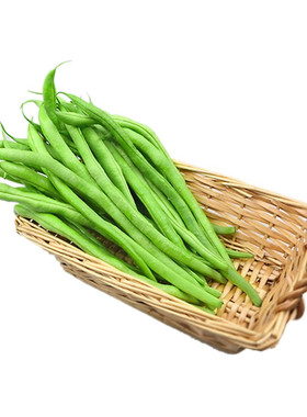 贵州农家新鲜棒豆四川四季豆当季芸豆扁豆现摘时令蔬菜豆角肉壳