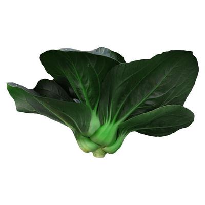 苏州青种子大全黑叶耐寒蔬菜种孑