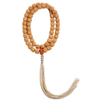 五爪金龙佛手小金刚菩提子手串