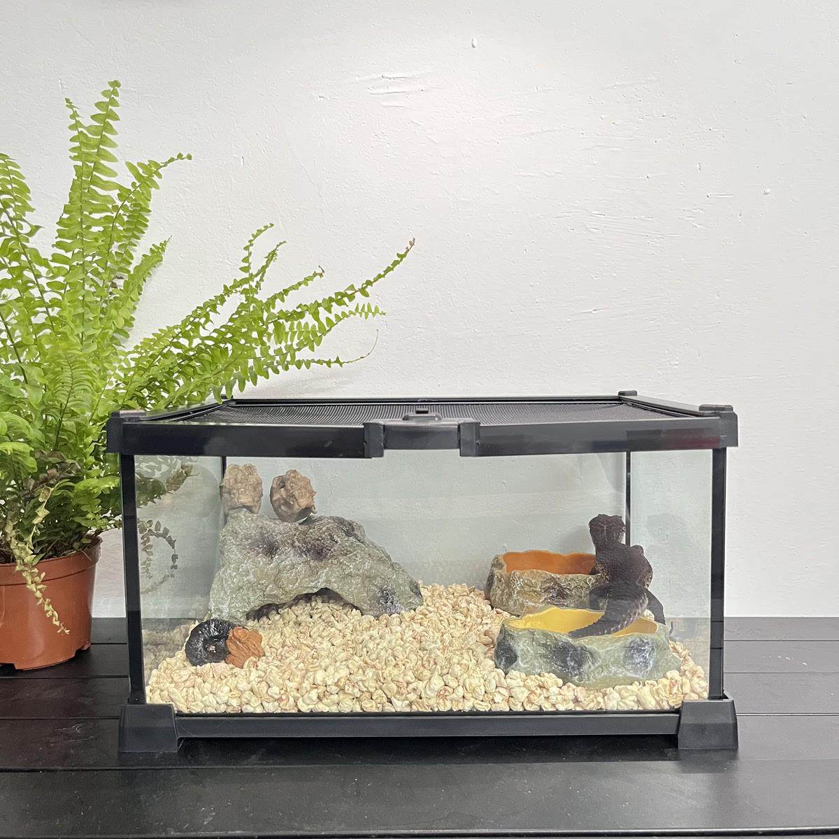 爬宠守宫饲养套装玻璃缸爬缸组合爬虫角蛙豹纹睫角宠物蛇造景爬箱