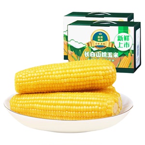 东北黄白糯玉米新鲜苞米大棒鲜糯玉米真空装早餐低脂代餐黏甜玉米