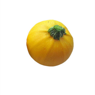 寿光蔬菜种子金黄色短蔓黄珍珠圆西葫芦种籽极早熟春季四季盆栽