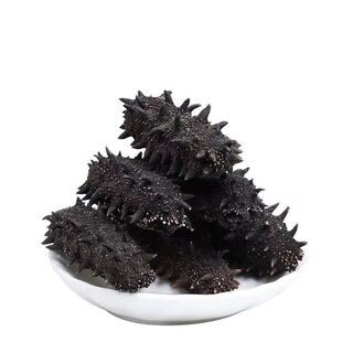 特大即食海参鲜活野生刺参大连辽参新鲜海鲜海产品非淡干干货