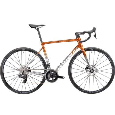 pardus瑞豹公路车rival电变